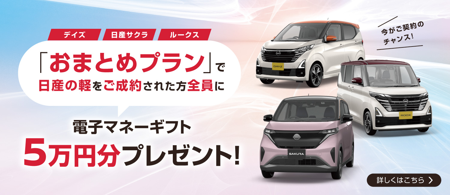 特別価格限定お買い得車